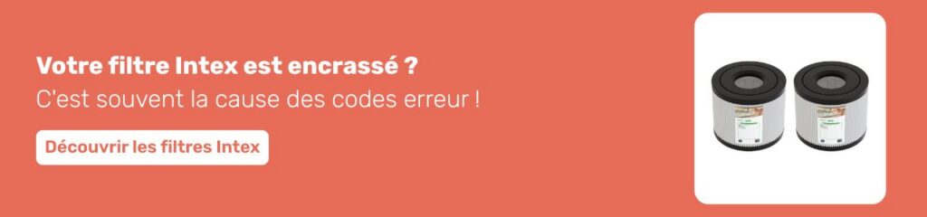 filtre spa gonflable intex